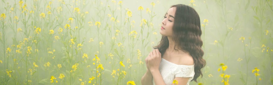 英属哥伦比亚大学本科申请条件有哪些？